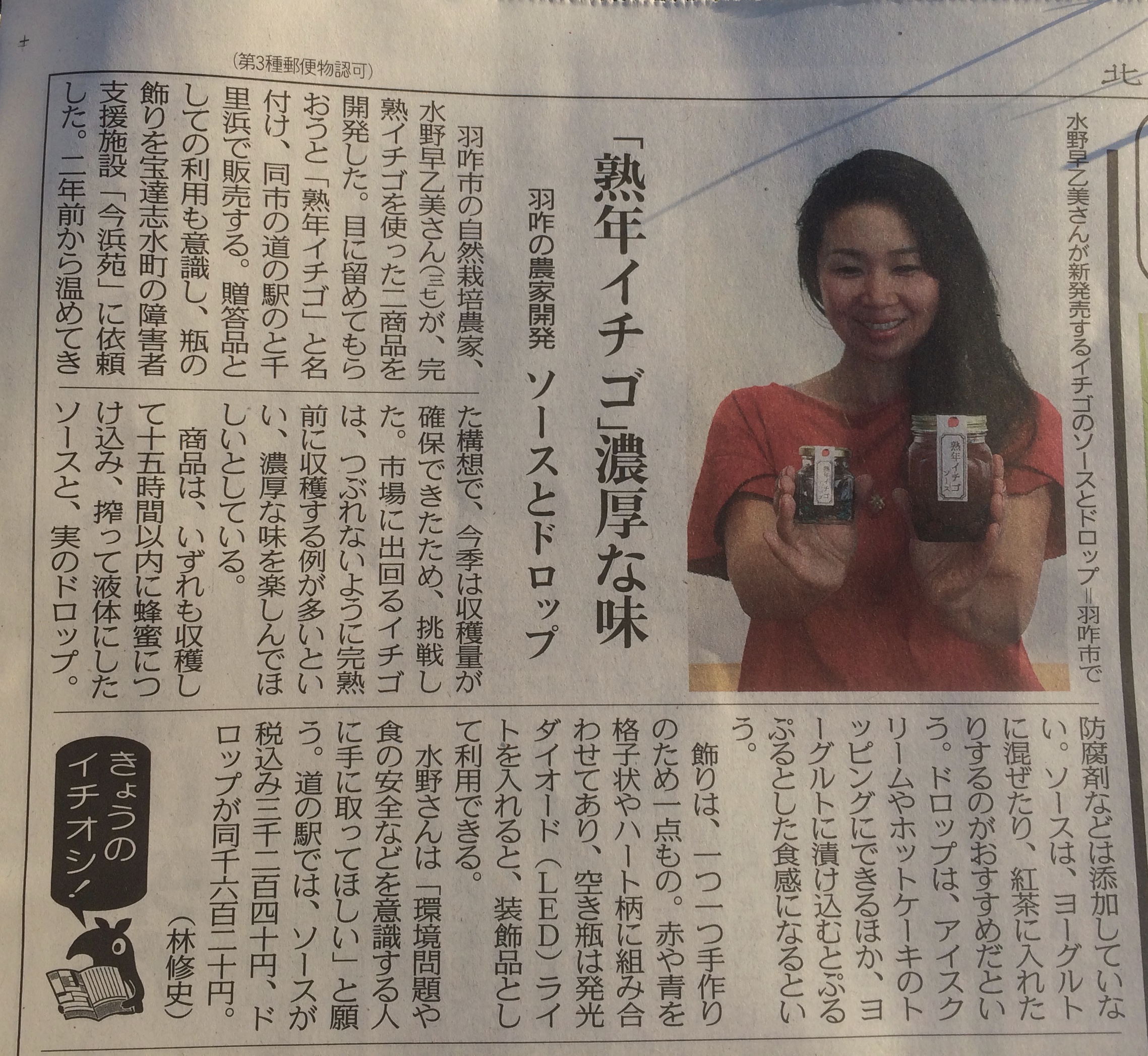 本日（６月１４日）付『北陸中日新聞』に熟年イチゴシリーズの記事を掲載して頂きました。