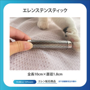 エレンステンスティック